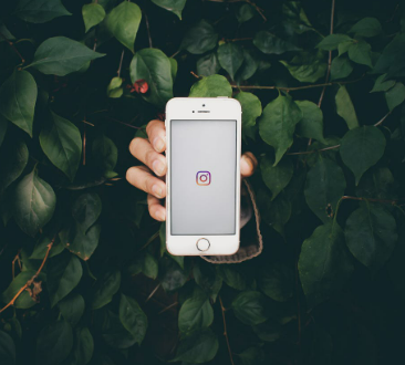 Proven Ways to Improve Sales through Instagram