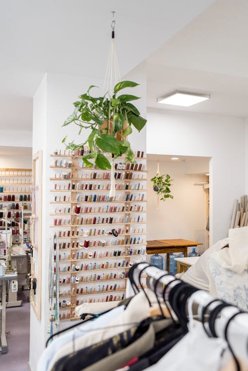 Free Stand with assorted colorful spools of thread for sewing and rack with different apparel on hangers inside dressmaker or fashion designer workshop Stock Photo
