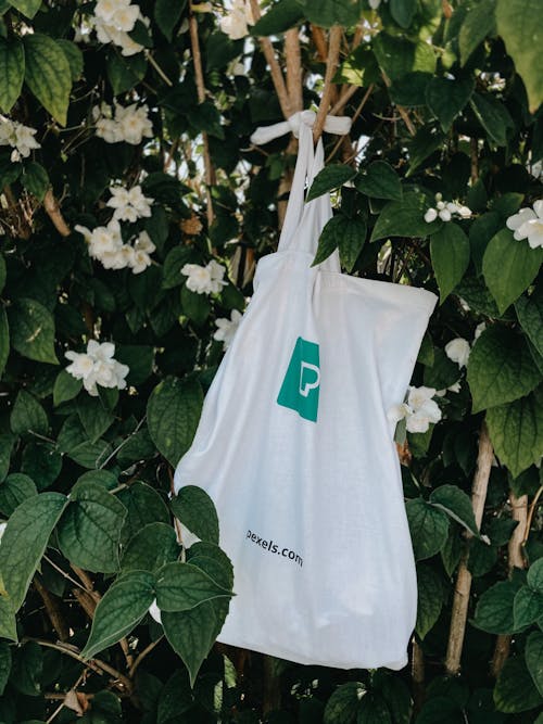Free Eco friendly bag with green print hanging on branch  of green tree with flowers Stock Photo